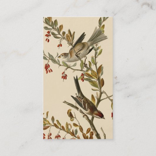 Amerikaanse Boom Sparrow, Amerikaanse vogelvogels Visitekaartje (Achterkant)