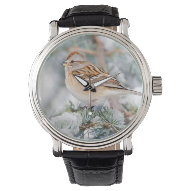 Amerikaanse Boom Sparrow in de winter Horloge (Voorkant)