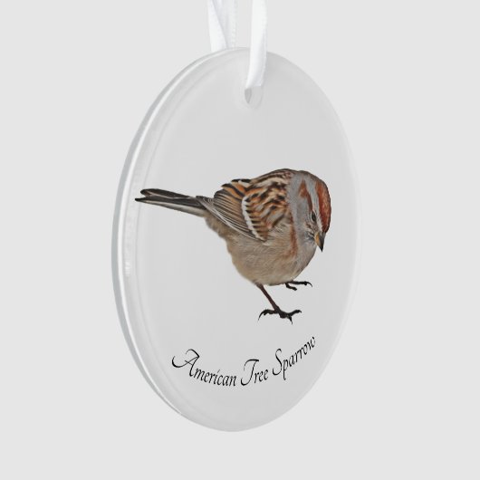 Amerikaanse Boom Sparrow Ornament (voorkant)