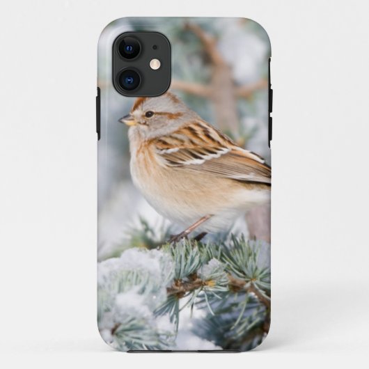 Amerikaanse Boommus in de winter Case-Mate iPhone Case (Achterkant)