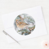 Amerikaanse Boommus in de winter Ronde Sticker (Envelop)