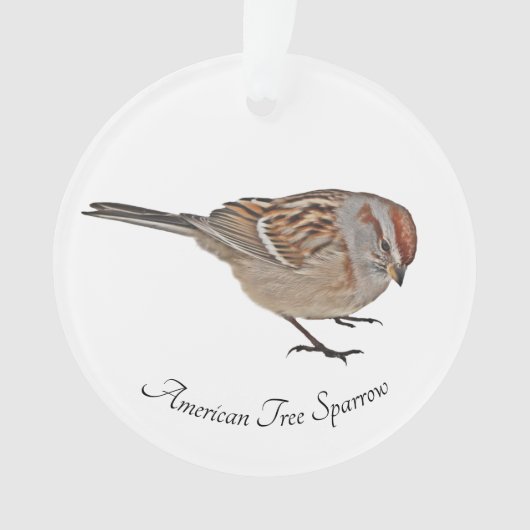Amerikaanse Boommus Ornament (voorkant)