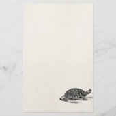  Amerikaanse Box Tortoise - Turtle Sjabloon Briefpapier (Voorkant)