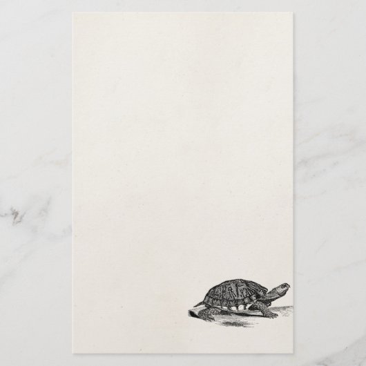  Amerikaanse Box Tortoise - Turtle Sjabloon Briefpapier (Voorkant)