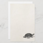  Amerikaanse Box Tortoise - Turtle Sjabloon Briefpapier (Voorkant / Achterkant)