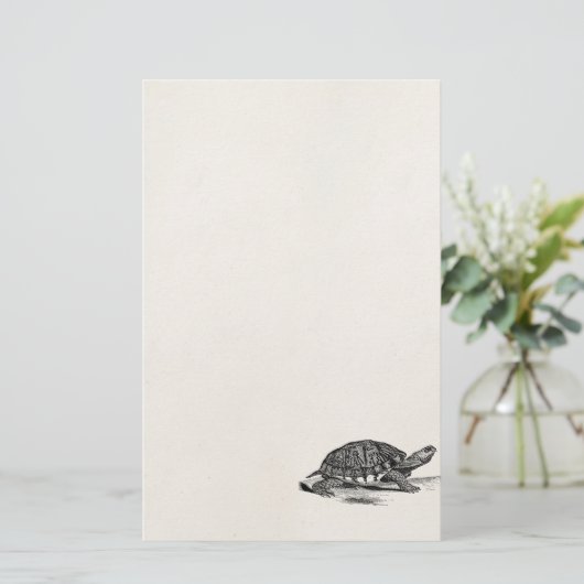  Amerikaanse Box Tortoise - Turtle Sjabloon Briefpapier (Staand voorkant)