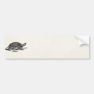  Amerikaanse Box Tortoise - Turtle Sjabloon Bumpersticker