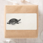 Amerikaanse Box Tortoise - Turtle Sjabloon Etiket (Insitu)