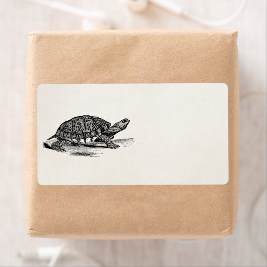 Amerikaanse Box Tortoise - Turtle Sjabloon Etiket (Insitu)