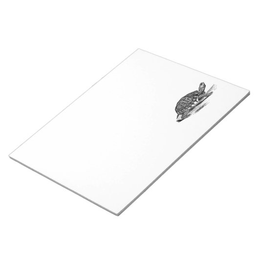  Amerikaanse Box Tortoise - Turtle Sjabloon Notitieblok (Schuin)