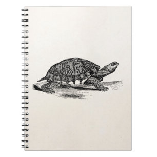 Amerikaanse Box Tortoise - Turtle Sjabloon Notitieboek