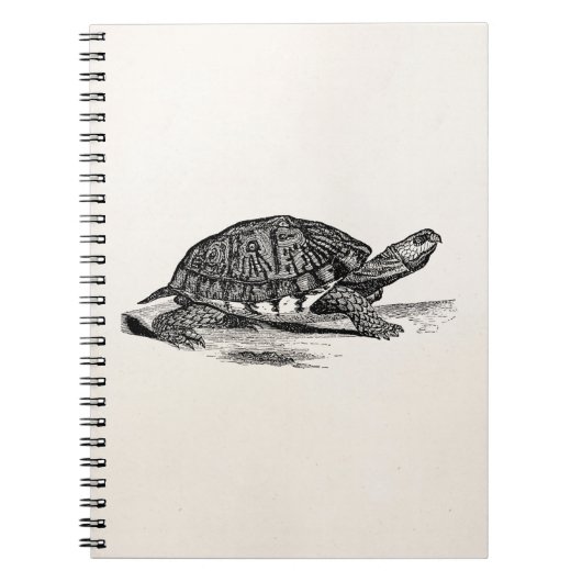 Amerikaanse Box Tortoise - Turtle Sjabloon Notitieboek (Voorkant)