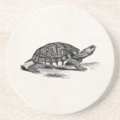 Amerikaanse Box Tortoise - Turtle Sjabloon Zandsteen Onderzetter (Voorkant)