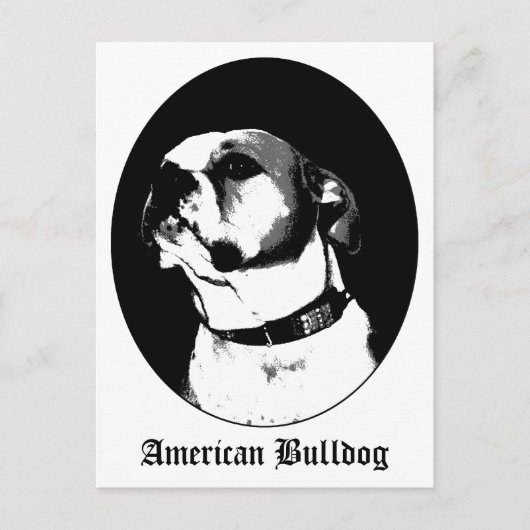 Amerikaanse briefkaart (Voorkant)