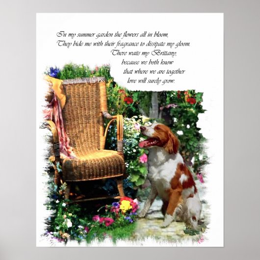 Amerikaanse Brittany Spaniel Art Print (Voorkant)