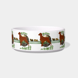 Amerikaanse Brittany Spaniel Gifts Voerbakje