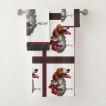 Amerikaanse Brittany Spaniel Kerstmis