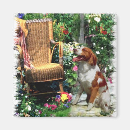 Amerikaanse Brittany Spaniel Kunst Cadeaus Magneet