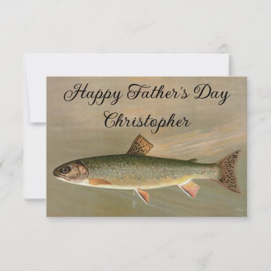 Amerikaanse Brook Trout Fish  Illustratie (Voorkant)