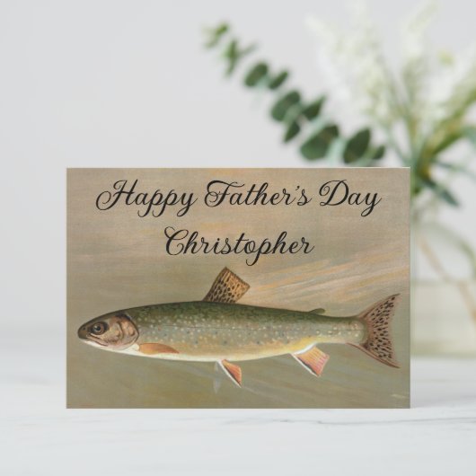 Amerikaanse Brook Trout Fish  Illustratie (Staand voorkant)