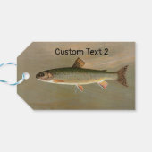 Amerikaanse Brook Trout Fish Illustratie Cadeaulabel (Achterkant Horizontaal)