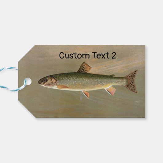 Amerikaanse Brook Trout Fish  Illustratie Cadeaulabel (Achterkant Horizontaal)
