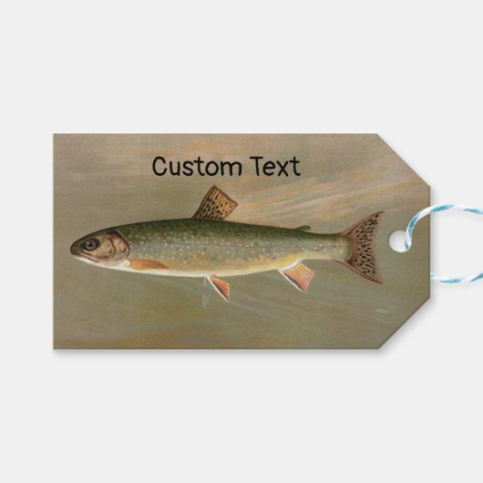 Amerikaanse Brook Trout Fish  Illustratie Cadeaulabel (Voorkant (Horizontaal))
