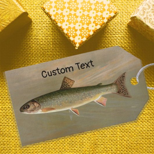 Amerikaanse Brook Trout Fish Illustratie Cadeaulabel