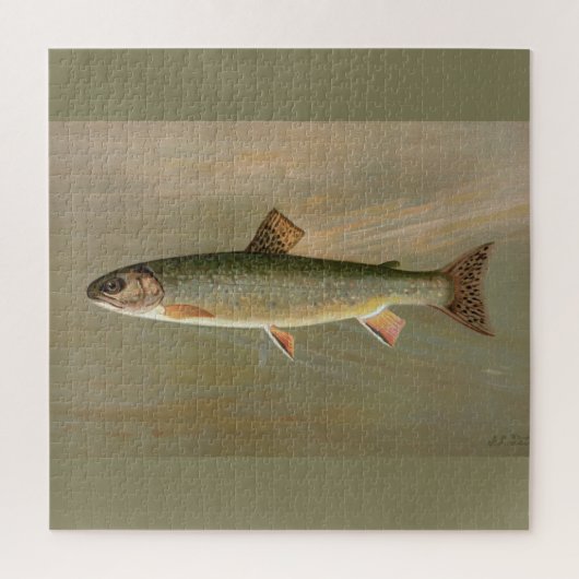 Amerikaanse Brook Trout Fish Illustratie Legpuzzel (Verticaal)