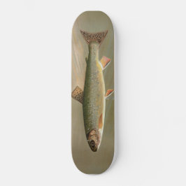 Amerikaanse Brook Trout Fish  Illustratie Persoonlijk Skateboard