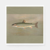 Amerikaanse Brook Trout Fish  Illustratie Servet (Voorkant)