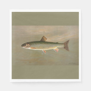 Amerikaanse Brook Trout Fish  Illustratie Servet