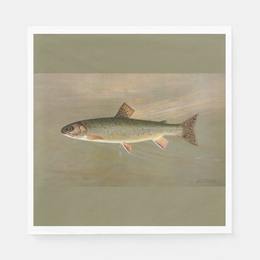 Amerikaanse Brook Trout Fish  Illustratie Servet (Voorkant)