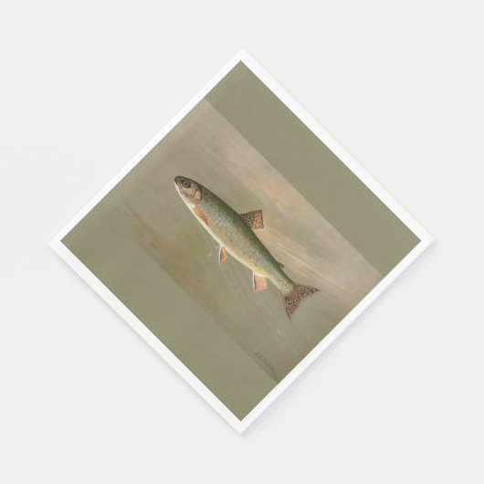 Amerikaanse Brook Trout Fish  Illustratie Servet (Hoek)