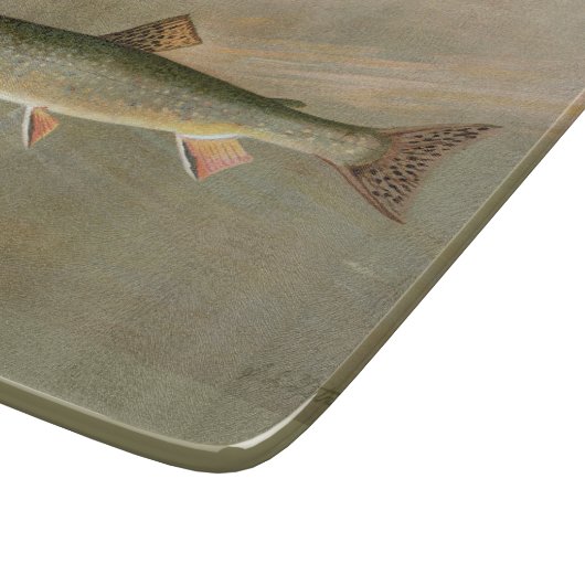 Amerikaanse Brook Trout Fish  Illustratie Snijplank (Hoek)