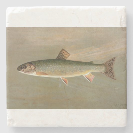 Amerikaanse Brook Trout Fish Illustratie Stenen Onderzetter (Voorkant)