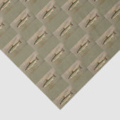 Amerikaanse Brook Trout Fish  Illustratie Tissuepapier (Detail)