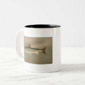 Amerikaanse Brook Trout Fish  Illustratie Tweekleurige Koffiemok (Voorkant links)