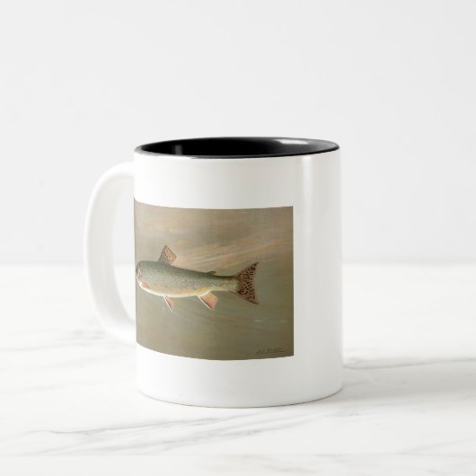 Amerikaanse Brook Trout Fish  Illustratie Tweekleurige Koffiemok (Voorkant links)
