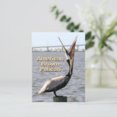 Amerikaanse Brown Pelican Louisiana State Bird Briefkaart (Staand voorkant)