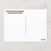 Amerikaanse Brown Pelican Louisiana State Bird Briefkaart (Achterkant)