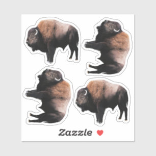 Amerikaanse bruine buffel sticker
