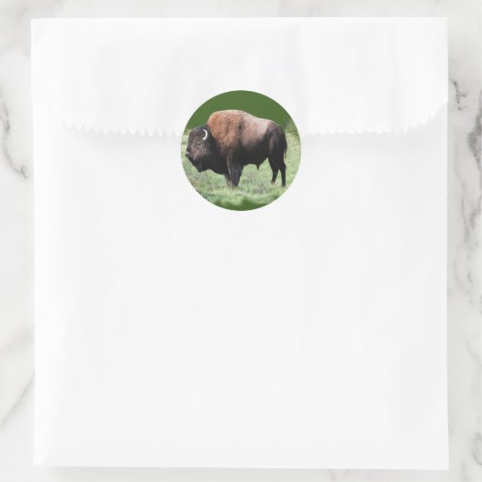 Amerikaanse bruine buffel Stickers (Tas)
