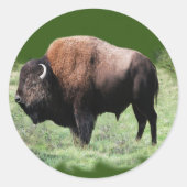 Amerikaanse bruine buffel Stickers (Voorkant)