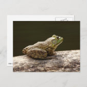 Amerikaanse Brulkikvors Briefkaart (Voorkant / Achterkant)