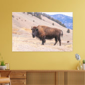Amerikaanse Buffalo Bizon fotografie, Yellowstone Canvas Afdruk (Insitu (Woonkamer))