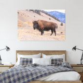 Amerikaanse Buffalo Bizon fotografie, Yellowstone Canvas Afdruk (Insitu (Slaapkamer))