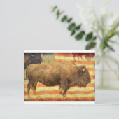 Amerikaanse Buffalo Briefkaart (Staand voorkant)