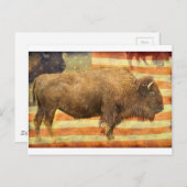 Amerikaanse Buffalo Briefkaart (Voorkant / Achterkant)