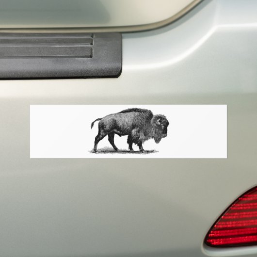 Amerikaanse Buffalo Bumpersticker (Op auto)